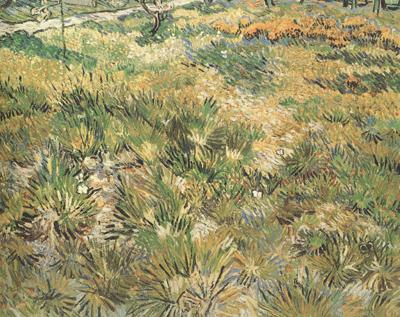 Vincent Van Gogh Meadow in the Garden of Saint-Paul Hospital (nn04) oil painting picture